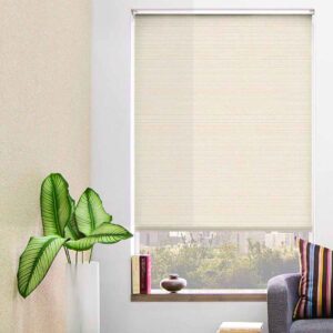 Sunscreen Roller Blinds